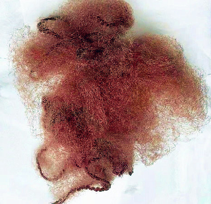 Brown Nylon Invisible Hairnets 14&quot; Disposable Hair Nets Mesh